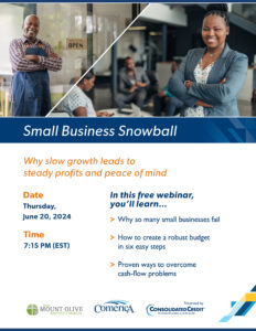 Small Business Snowball